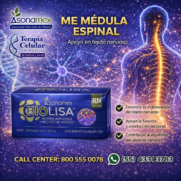 ME – MÉDULA ESPINAL
