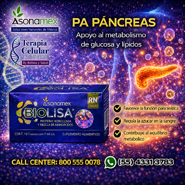 PA – PÁNCREAS